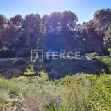 Standalone Villa with a Swimming Pool in Pinar de Campoverde Alicante 8167471 thumb12