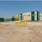  (For Rent) Commercial Industrial Area || East Attica/Krioneri - 5.900 Sq.m, 19.500€ Krioneri 7867480 thumb2