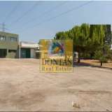  (For Sale) Commercial Commercial Property || East Attica/Krioneri - 5.900 Sq.m, 4.850.000€ Krioneri 7867556 thumb5