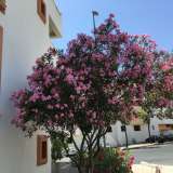  Albufeira (Zentral Algarve) 2767678 thumb8
