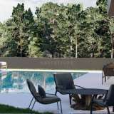  ISTRIA ROVINJ VILLAGE Luxury house with swimming pool Rovinj 8167904 thumb22