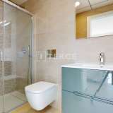  Maisons Avec Plans Fonctionnels à Algorfa Alicante Alicante 8168360 thumb73