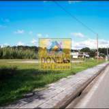  (For Sale) Land Plot || Ileias/Skillounta - 2.680 Sq.m, 180.000€ Skilounta 5768538 thumb7