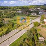  (For Sale) Land Plot || Ileias/Skillounta - 2.680 Sq.m, 180.000€ Skilounta 5768538 thumb3