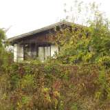   Montana 6168089 thumb30