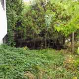   Montana 6168089 thumb22