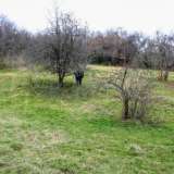   Montana 6168089 thumb32