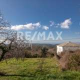  For Sale - (€ 0 / m2), House 46 m2 Afetes 8068969 thumb1