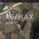  For Sale - (€ 0 / m2), Agricultural 4006 m2 Aisonia 8068973 thumb1