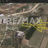  For Sale - (€ 0 / m2), Agricultural 4006 m2 Aisonia 8068973 thumb6