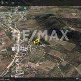  For Sale - (€ 0 / m2), Agricultural 4006 m2 Aisonia 8068973 thumb2