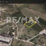  For Sale - (€ 0 / m2), Agricultural 4006 m2 Aisonia 8068973 thumb0