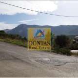  (For Sale) Land Plot || East Attica/Dionysos - 810 Sq.m, 340.000€ Dionysos 6969129 thumb3