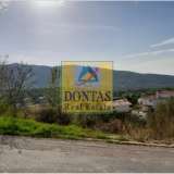 (For Sale) Land Plot || East Attica/Dionysos - 810 Sq.m, 340.000€ Dionysos 6969129 thumb12