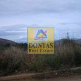  (For Sale) Land Plot || East Attica/Dionysos - 1.550 Sq.m, 450.000€ Dionysos 8069423 thumb2