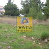  (For Sale) Land Plot || East Attica/Dionysos - 1.550 Sq.m, 450.000€ Dionysos 8069423 thumb4