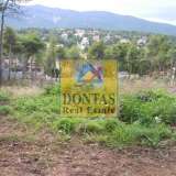  (For Sale) Land Plot || East Attica/Dionysos - 1.550 Sq.m, 450.000€ Dionysos 8069423 thumb1