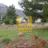  (For Sale) Land Plot || East Attica/Dionysos - 3.100 Sq.m, 900.000€ Dionysos 8069424 thumb4