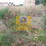  (For Sale) Land Plot || East Attica/Dionysos - 3.100 Sq.m, 900.000€ Dionysos 8069424 thumb5