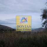  (For Sale) Land Plot || East Attica/Dionysos - 3.100 Sq.m, 900.000€ Dionysos 8069424 thumb1