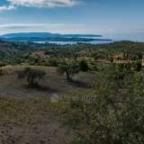  For Sale - (€ 0 / m2), Agricultural 10600 m2 Kranidi 7969455 thumb4