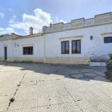   Alcantarilha e Pera (Centrálne Algarve) 8169574 thumb1