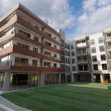   Seljanovo 6469636 thumb4