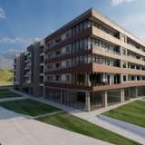   Seljanovo 6469636 thumb3