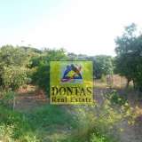  (For Sale) Land Plot || Chios/Chios - 2.300 Sq.m, 270.000€ Chios 7969748 thumb0