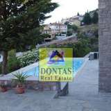  (For Sale) Residential Detached house || Chios/Omiroupoli - 210 Sq.m, 3 Bedrooms, 650.000€ Omiroupoli 7969758 thumb8