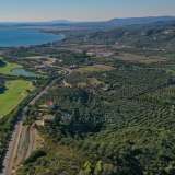  For Sale - (€ 0 / m2), Agricultural 23340 m2 Pylos 7807126 thumb2
