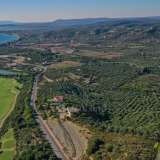  For Sale - (€ 0 / m2), Agricultural 23340 m2 Pylos 7807126 thumb7