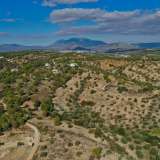  For Sale - (€ 0 / m2), Agricultural 6090 m2 Kranidi 7807172 thumb8