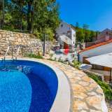  Zwei Steinhäuser mit Swimmingpool und großem Garten Crikvenica 8107308 thumb0