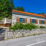 Two stone houses with a swimming pool and a large garden Crikvenica 8107308 thumb6
