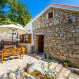  Two stone houses with a swimming pool and a large garden Crikvenica 8107308 thumb1