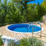 Zwei Steinhäuser mit Swimmingpool und großem Garten Crikvenica 8107308 thumb3