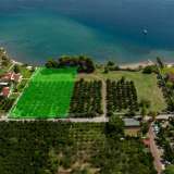  For Sale - (€ 0 / m2), Agricultural 5000 m2 Epidavros 8007046 thumb1