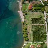  For Sale - (€ 0 / m2), Agricultural 5000 m2 Epidavros 8007046 thumb2