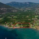  For Sale - (€ 0 / m2), Agricultural 5000 m2 Epidavros 8007047 thumb8