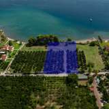  For Sale - (€ 0 / m2), Agricultural 5000 m2 Epidavros 8007047 thumb1