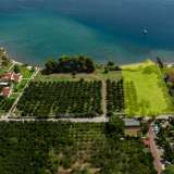  For Sale - (€ 0 / m2), Agricultural 5000 m2 Epidavros 8007048 thumb1