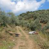  For Sale - (€ 0 / m2), Agricaltural 45087 m2 Milies 4207567 thumb3