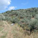  For Sale - (€ 0 / m2), Agricaltural 45087 m2 Milies 4207567 thumb4