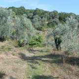  For Sale - (€ 0 / m2), Agricaltural 45087 m2 Milies 4207567 thumb5