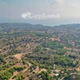 For Sale - (€ 0 / m2), Agricultural 4066 m2 Kranidi 8007006 thumb9