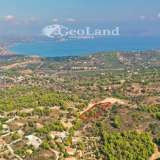  For Sale - (€ 0 / m2), Agricultural 4066 m2 Kranidi 8007006 thumb1