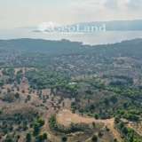  For Sale - (€ 0 / m2), Agricultural 4066 m2 Kranidi 8007006 thumb4