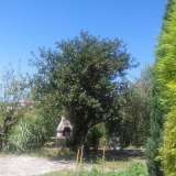  Ein typisch istrisches Steinhaus mit viel Charme in herrlicher Lage Vižinada 7007676 thumb17