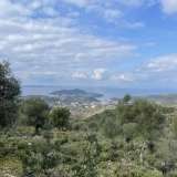  (For Sale) Land Plot || Thesprotia/Igoumenitsa - 10.000 Sq.m, 460.000€ Igoumenitsa 7007869 thumb0